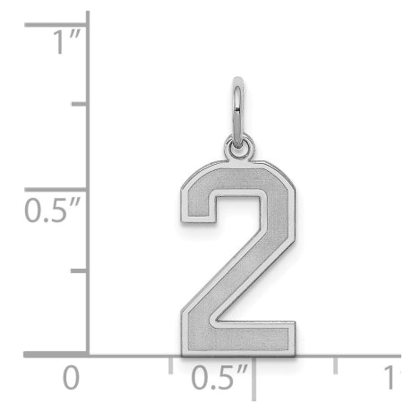 Sterling Silver/Rhodium-plated Satin Number 2 Charm